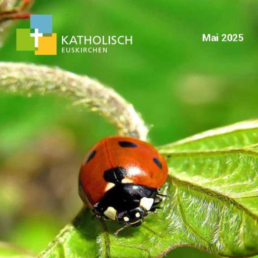 EINblick 2025-05 Web_Seite_01