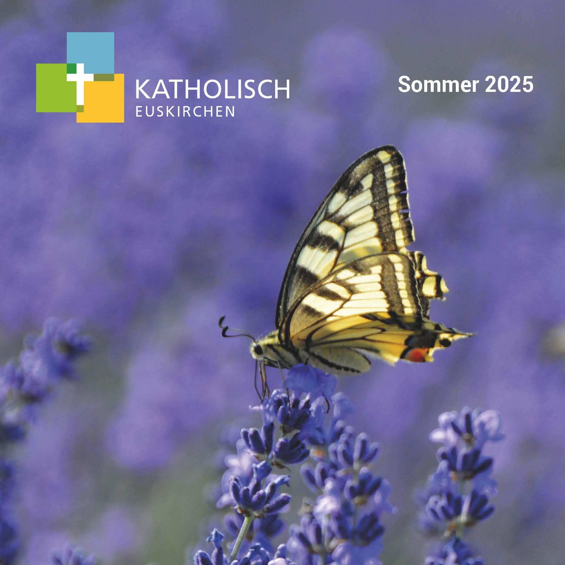 EINblick Sommer 2025_Web_Seite_01